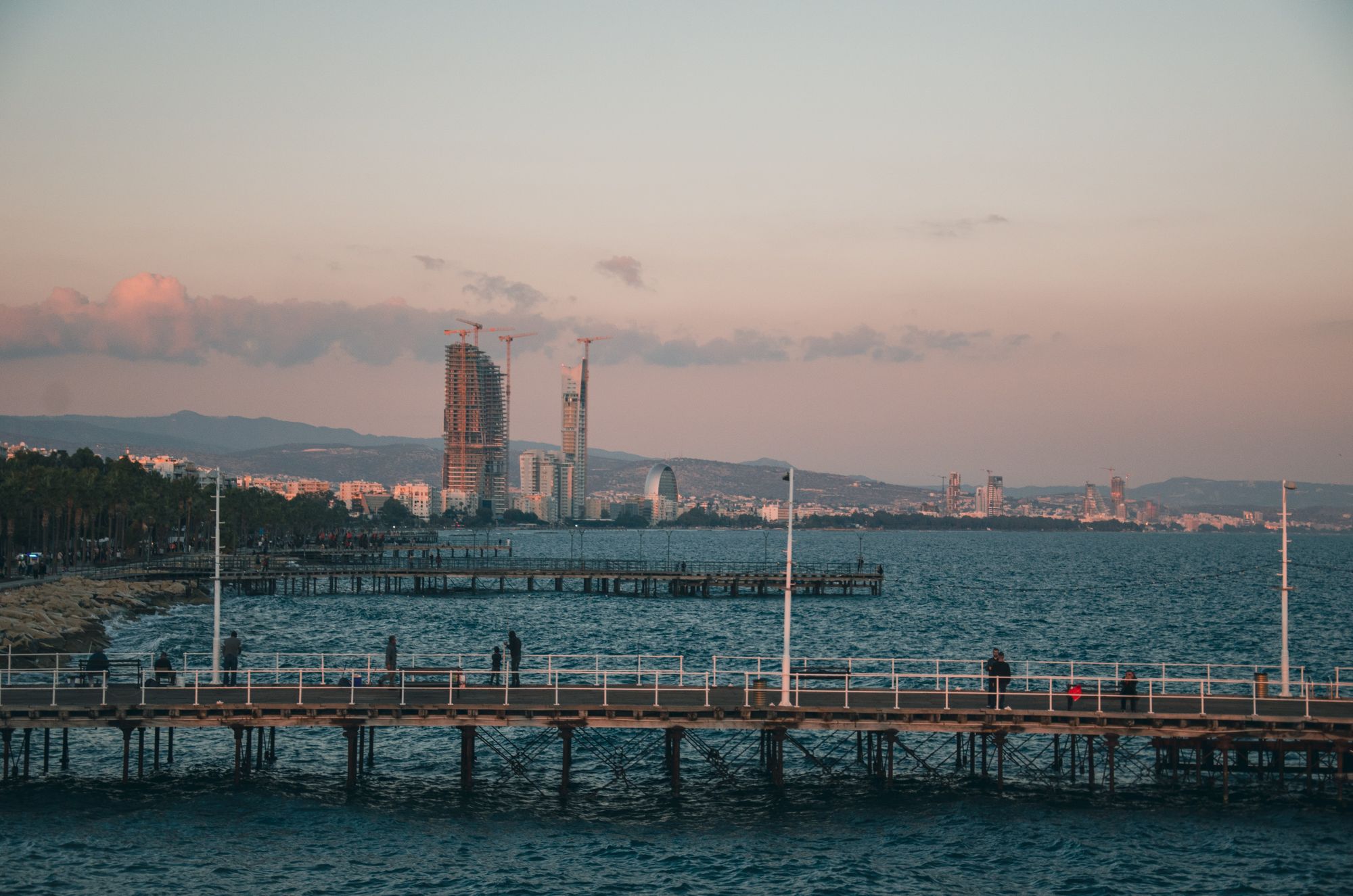 Trees and buildings on the seaside